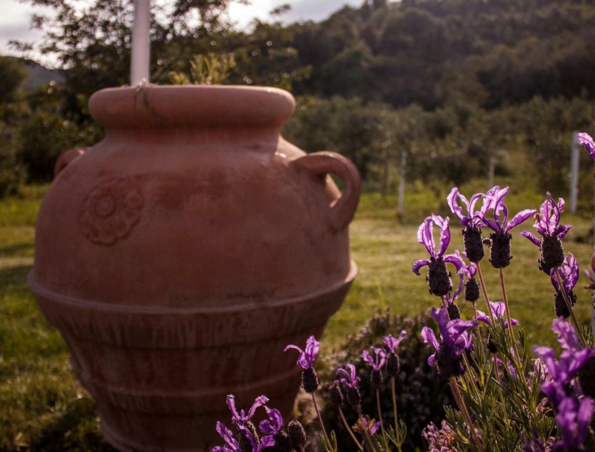 Mulino Della Rivolta Villa Montenero  Ngoại thất bức ảnh